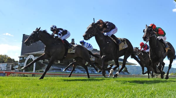 Broodmare paddock looming for Sinarahma