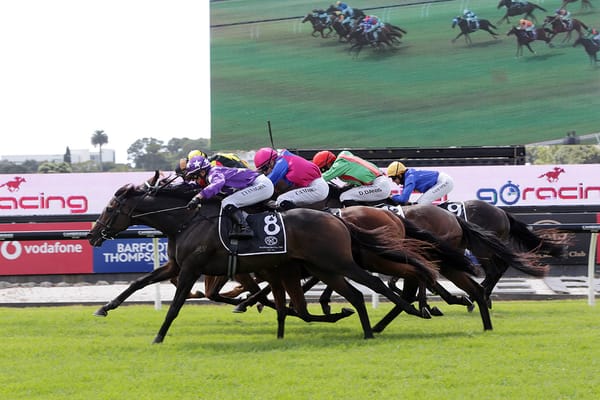 Swords Drawn on target for Auckland Cup bid