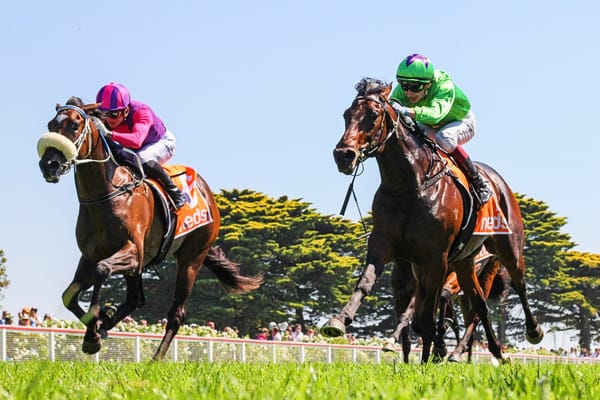 Bright future for Almanzor colt