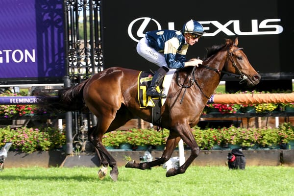 Exciting Yonce doing McCarroll and partners proud