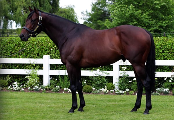 Almanzor continues strong run