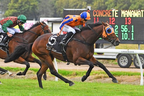 Amalfi Prince to chase bigger targets