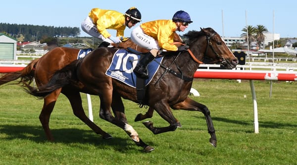 Talented filly ready for stakes company