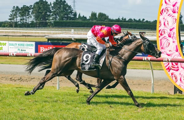 Invercargill mare chasing sweep of Southland Cups