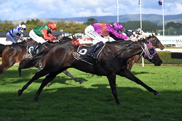 Charms Star set to shine in Travis