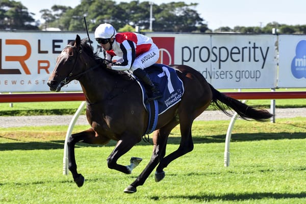 Hawkesbury targets for Kiwi trio