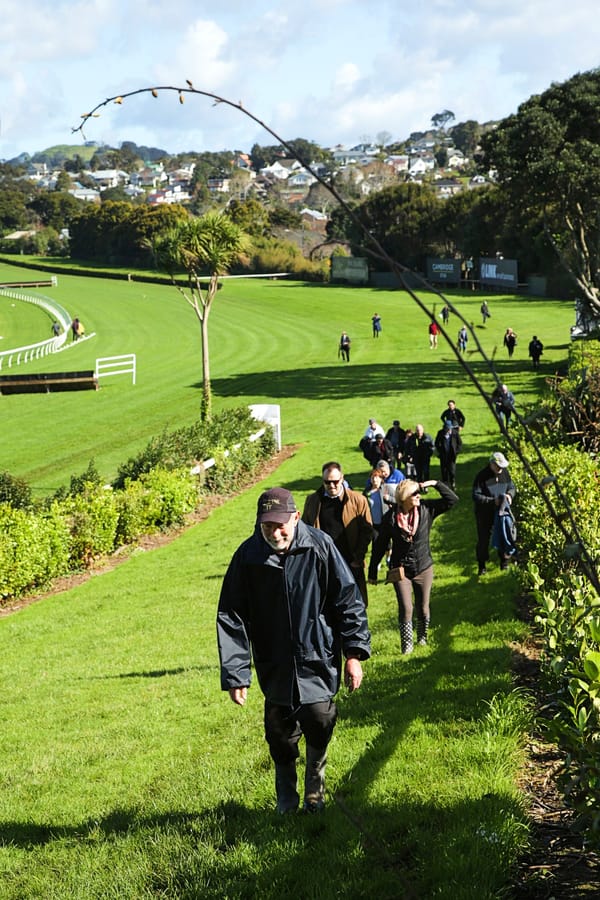 Proposed Residential Development For The Hill, Ellerslie