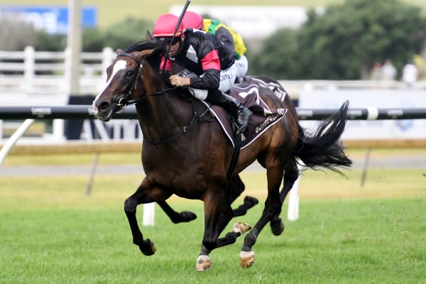 Top mare’s trainer oozing with confidence