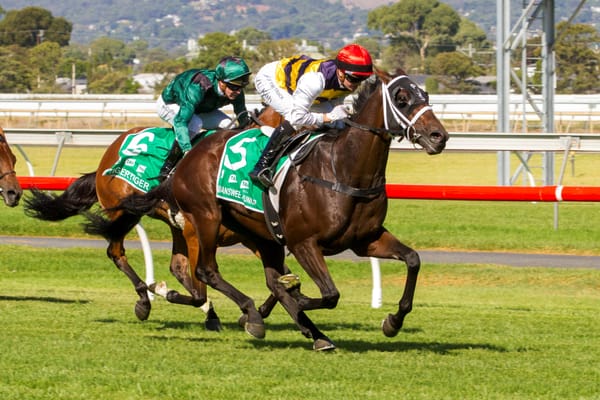 Melbourne Cup on radar for Junior