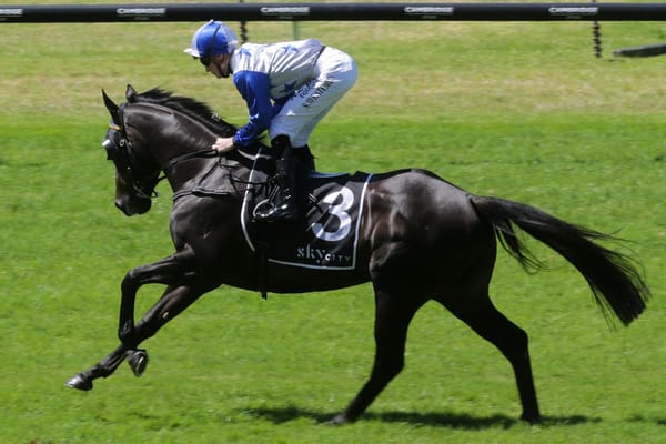 Dark Destroyer ready to kick off Queensland campaign