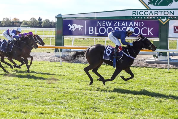 Defiant victory confirms stakes target for promising juvenile