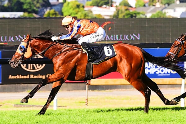 2023 Karaka Million date announced