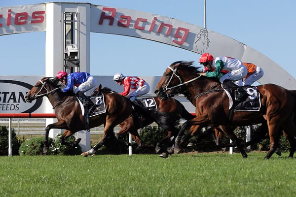 Impressive Pukekohe winner in line for Queensland campaign