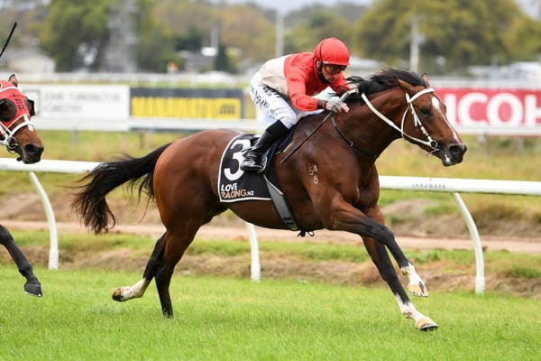 Hoard The Bourbon on Queensland Derby path