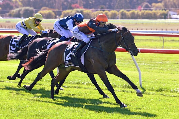 Hokkaido impressive on debut