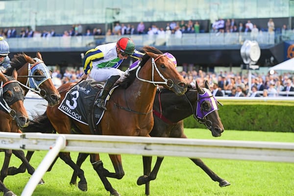 Racing NSW Announces $30m Prizemoney Increases & Record Infrastructure Investment