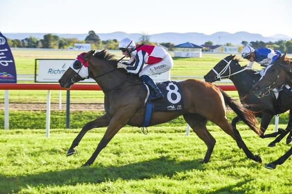 Kirwan’s Lane lands Hawkesbury feature