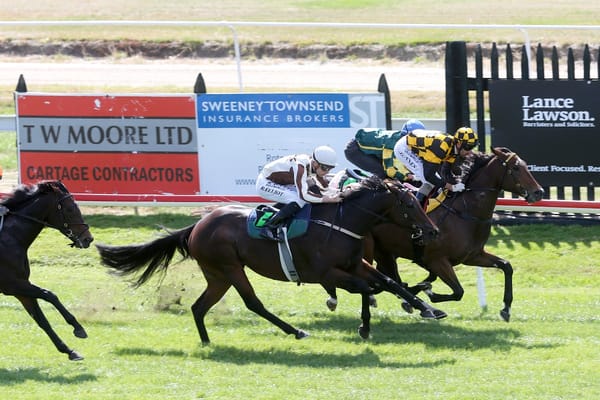 Levante on target for Thoroughbred Breeders’ Stakes