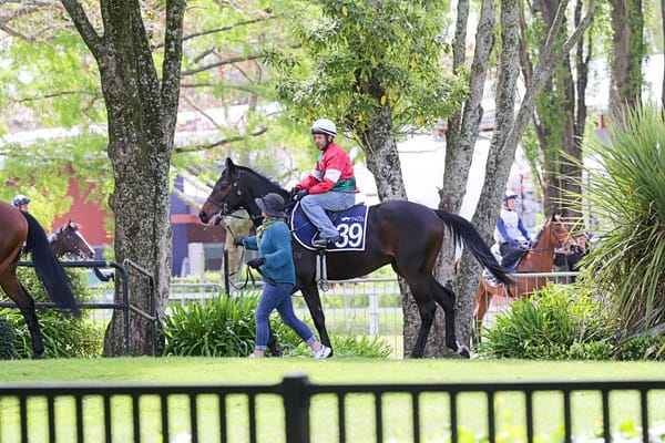 Dunlop looking on the Brightside ahead of Day 2 at The Championships