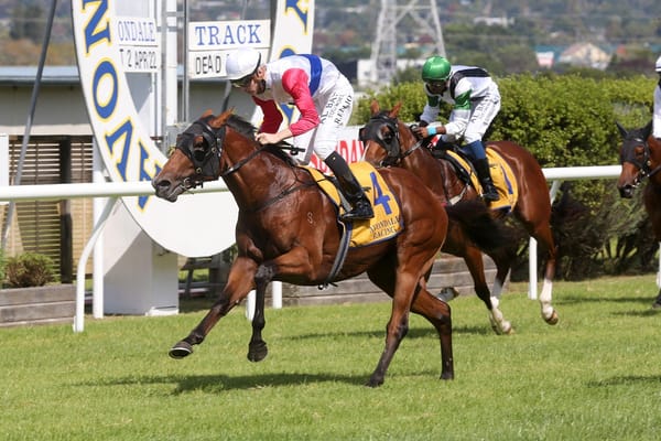 Mr Maestro on classic path in Melbourne
