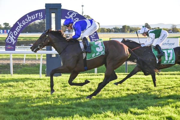 Half dozen up for Norwegian Bliss