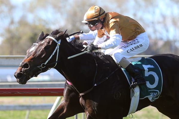 Rising Storm provides tonic for Bishara