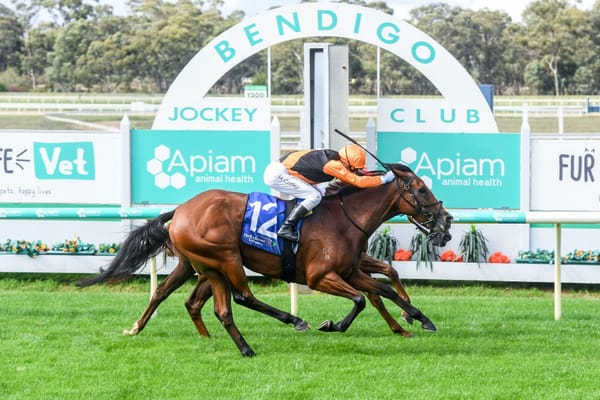 Kiwi-bred filly scores first up