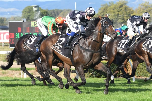 Stakes target in the offing for Tavattack