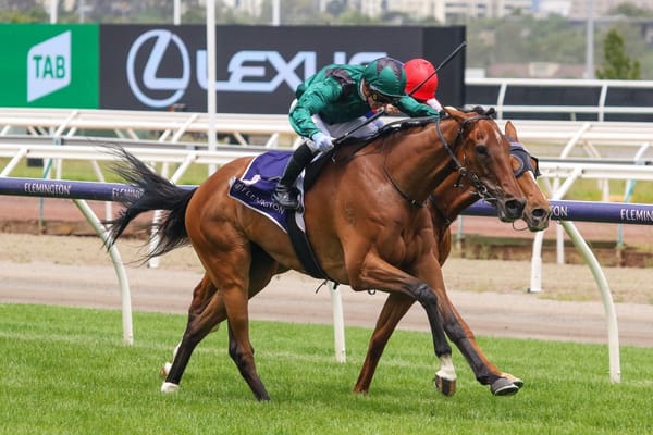 Tigertiger to relish heavy conditions