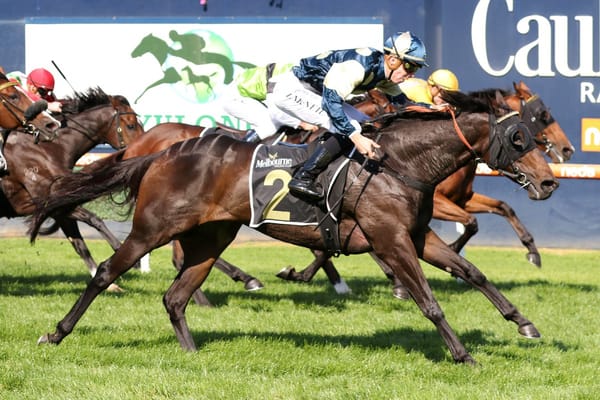 Tokorangi salutes at Caulfield