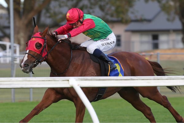 Two Illicit signs off in style at Te Rapa