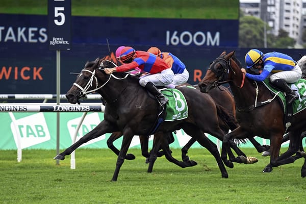 No Arc for Verry Elleegant