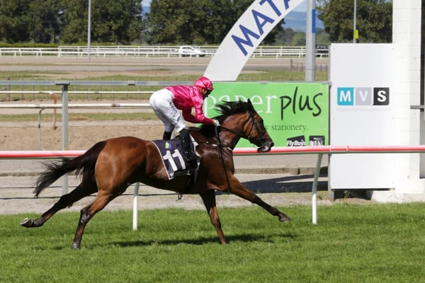 Freedmans secure promising Kiwi filly