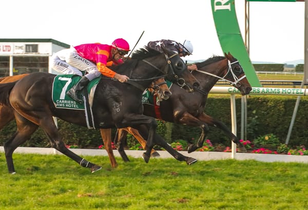 Harris caps superb day with Riverton Cup victory