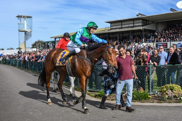 Time called on outstanding jumper Zed Em