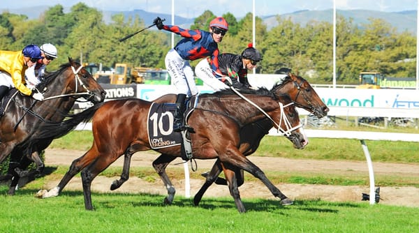 Zola Express provides Millar with biggest win