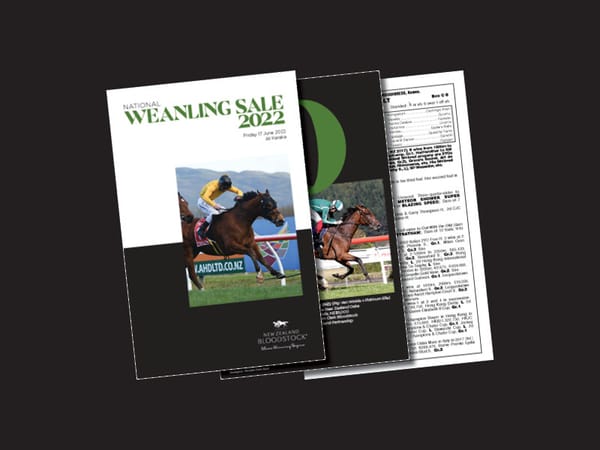 NZB’s Weanling Sale Catalogue Online Now