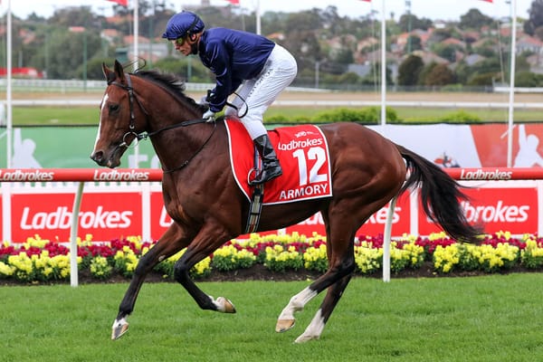 Mapperley Stud Open Day