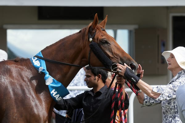 Multiple Group winner retired