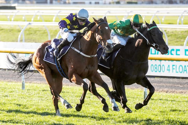 Weight a query for Carpo Del Empero