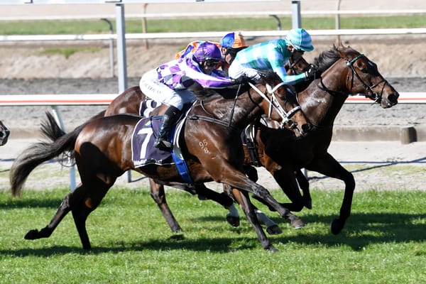 Casino Princess confirms potential with stunning Matamata victory