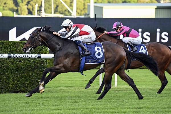 Cotehele scores Randwick victory