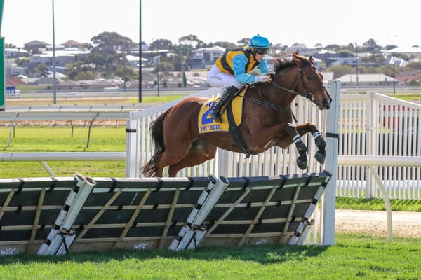 Wilde loves the Kiwis