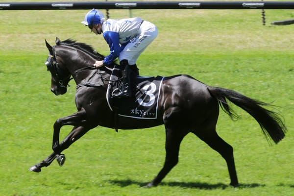 Dark Destroyer the bright spot in week of drama for O’Sullivan