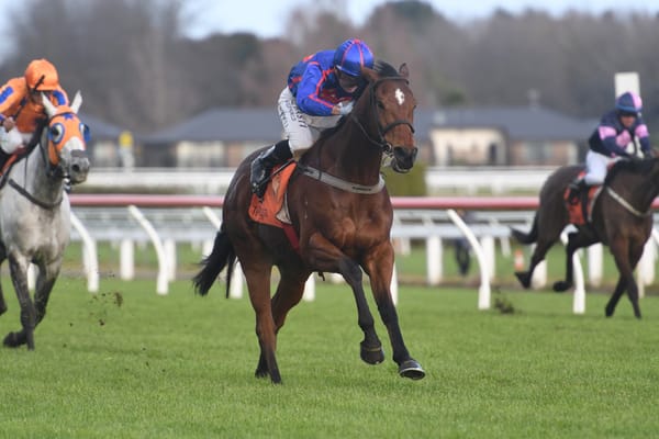 English Gambler jumping into winter