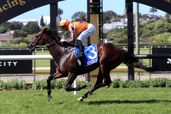 Venue change a positive for classy Kiwi mare