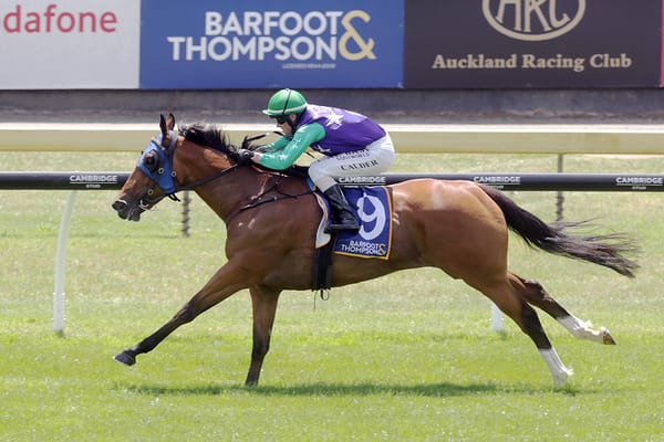 Trainer happy with stakes-bound mare