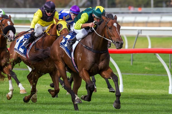 Jungle Magnate in peak order for SA Derby