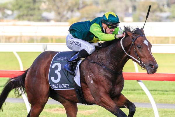 Jungle Magnate Hong Kong bound