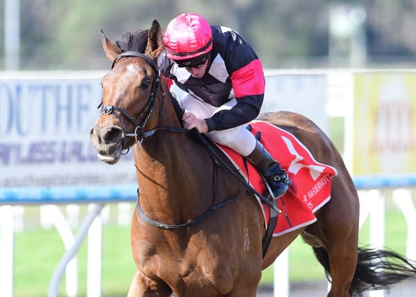 Contrasting fortunes for Patterson trio